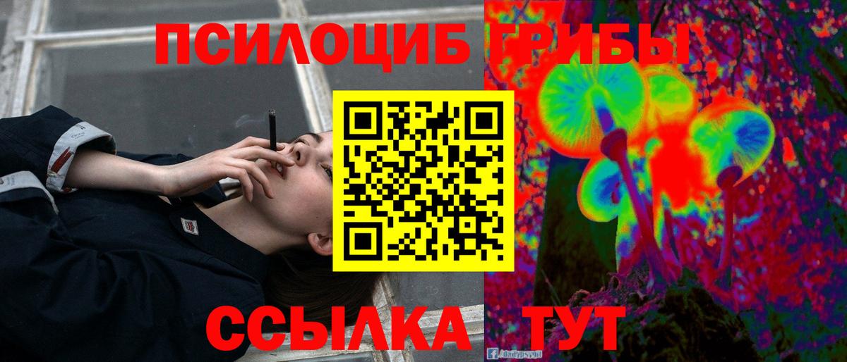 Псилоцибиновые грибы Psilocybe Ликино-Дулёво