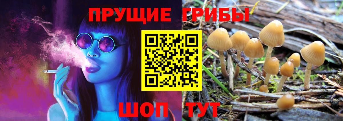 Псилоцибиновые грибы мицелий  Псилоцибиновые грибы мухоморы  Вход с VPN  Ликино-Дулёво 